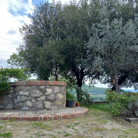 Agriturismo Riparossa Allerona Exteriér fotografie