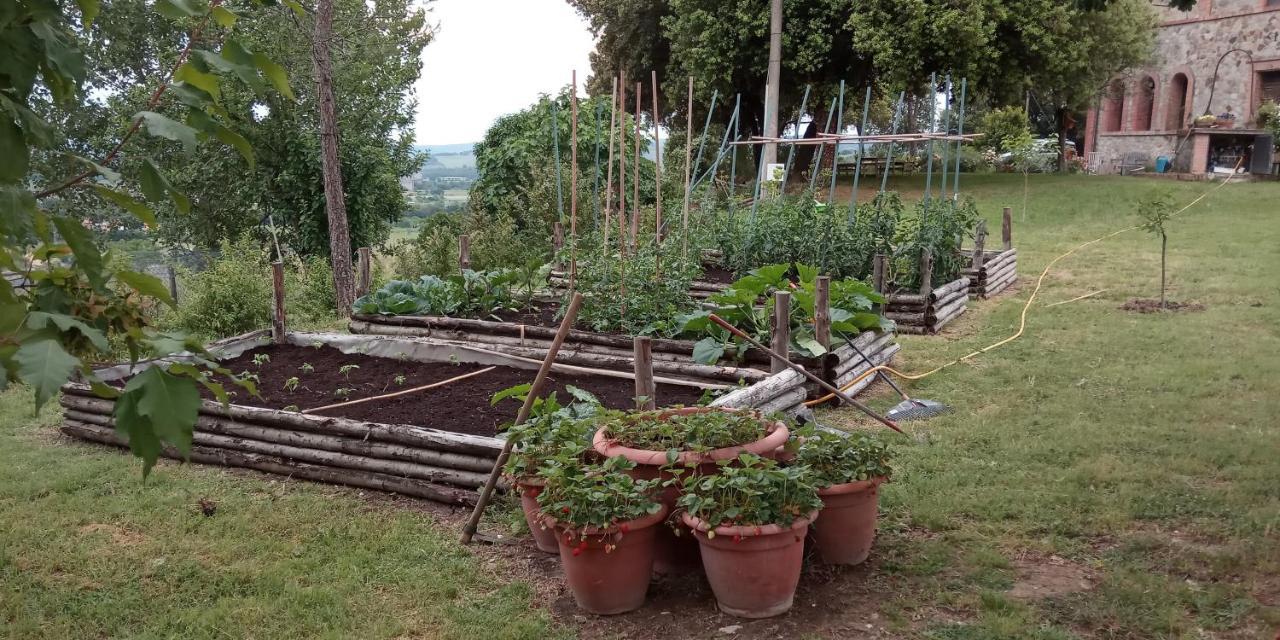 Agriturismo Riparossa Allerona Exteriér fotografie