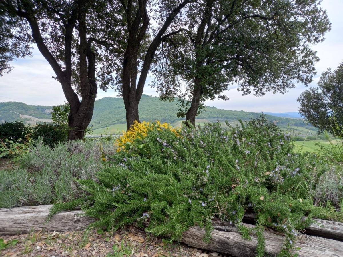 Agriturismo Riparossa Allerona Exteriér fotografie
