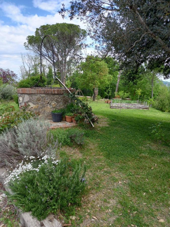Agriturismo Riparossa Allerona Exteriér fotografie