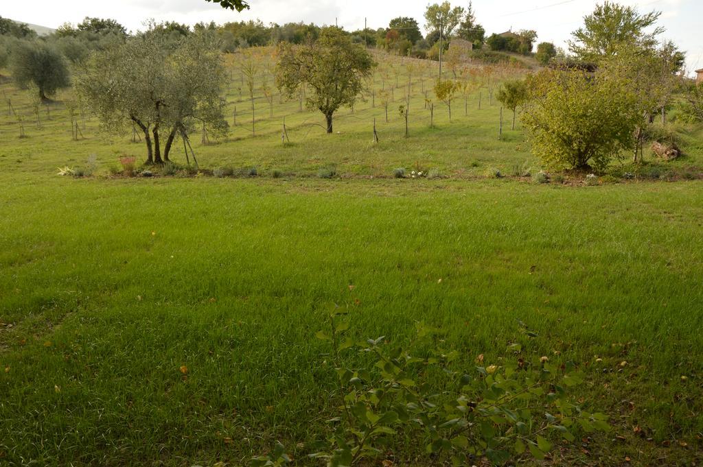 Agriturismo Riparossa Allerona Exteriér fotografie