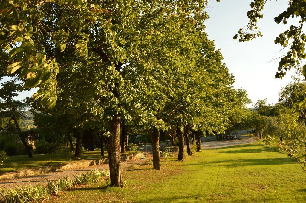 Agriturismo Riparossa Allerona Exteriér fotografie
