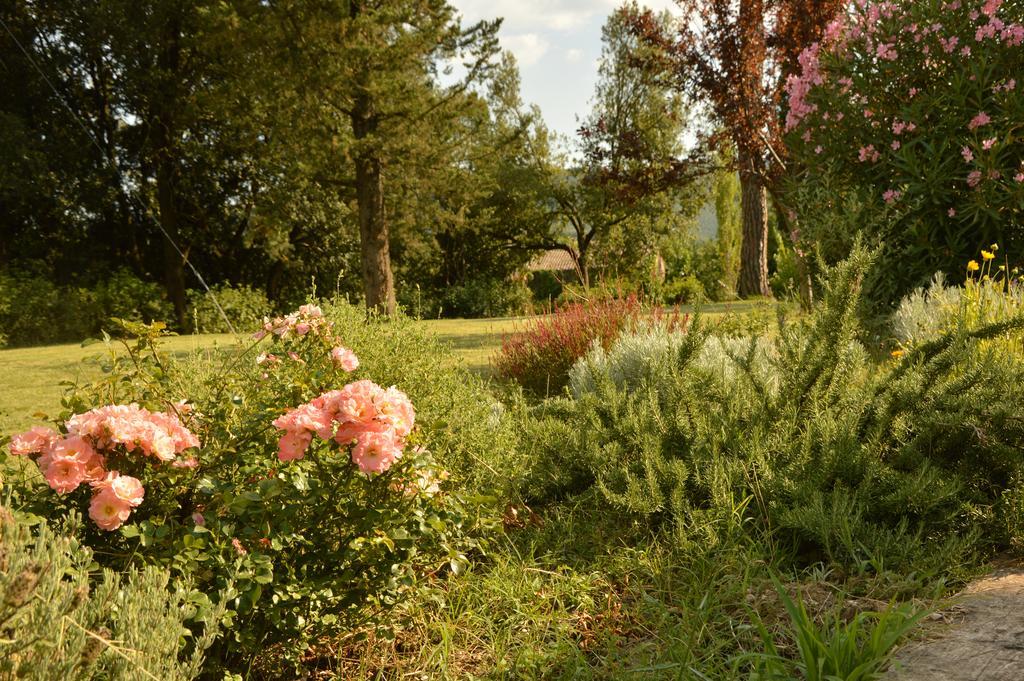 Agriturismo Riparossa Allerona Exteriér fotografie