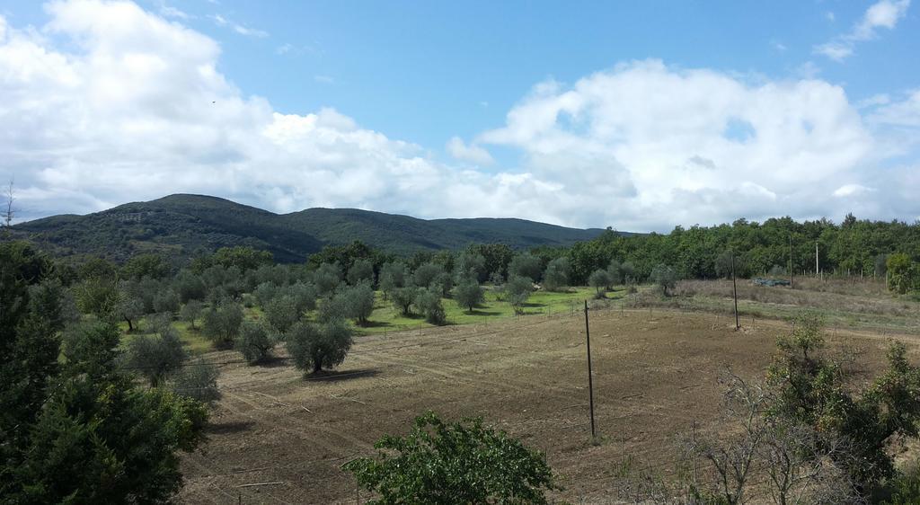 Agriturismo Riparossa Allerona Exteriér fotografie