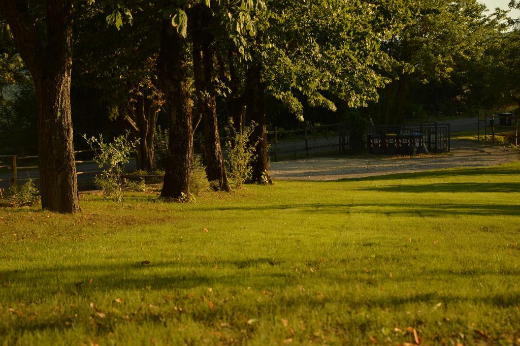 Agriturismo Riparossa Allerona Exteriér fotografie