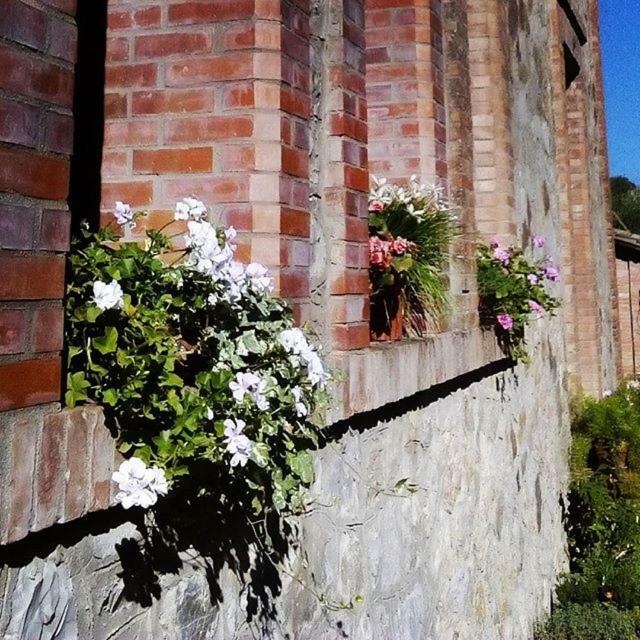 Agriturismo Riparossa Allerona Exteriér fotografie
