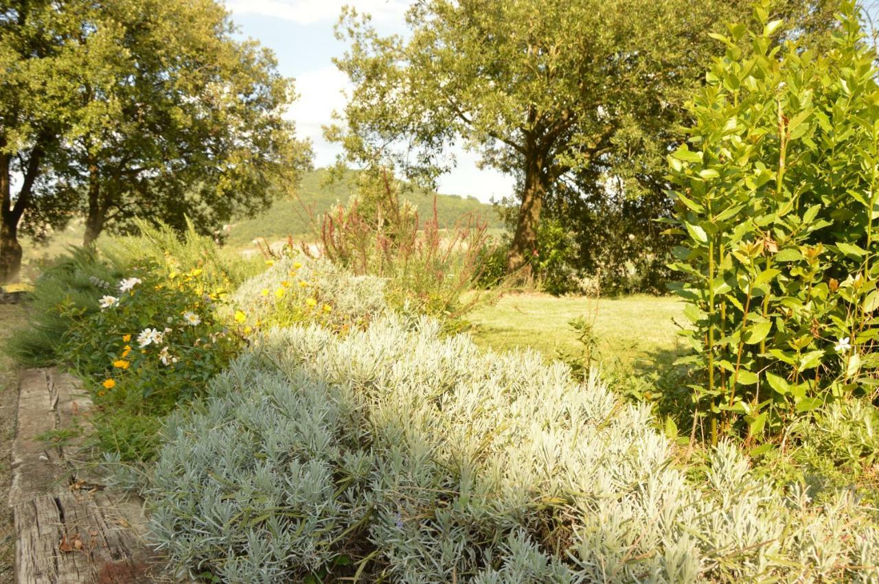 Agriturismo Riparossa Allerona Exteriér fotografie
