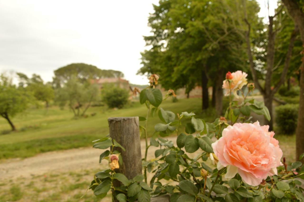 Agriturismo Riparossa Allerona Exteriér fotografie